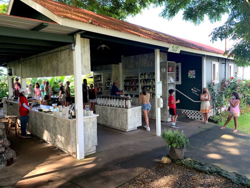 Kona Coffee Farm Tour Clark’s Hawaii Tours